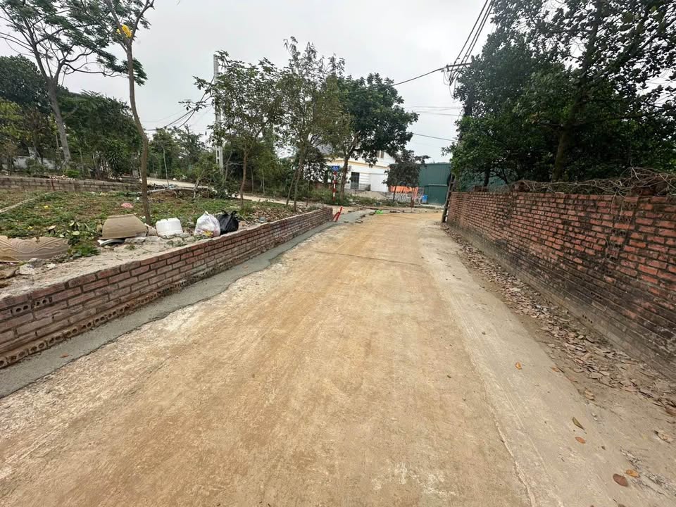 Đất nền Tân Xã Thạch Thất 76m² - Giá mềm cho nhà đầu tư!