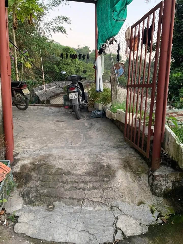 Nhà bán tại Phường Mông Dương, Cẩm Phả 303m² - Vị trí đẹp, chỉ việc vào ở!