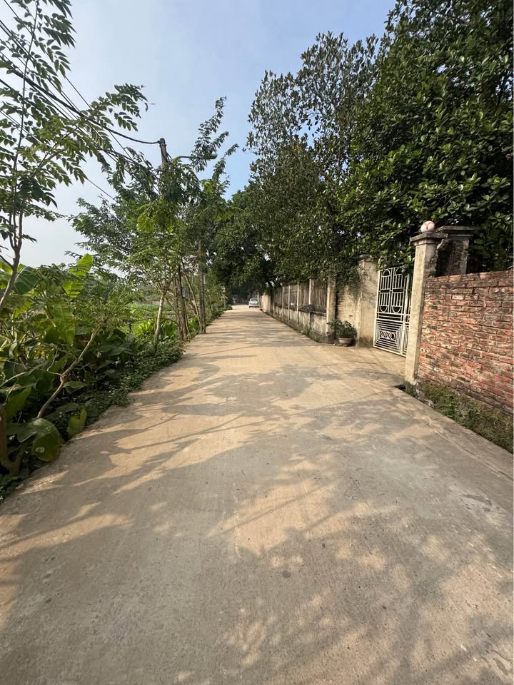 Đất Nền Ninh Xá, Thuận Thành 105m² giá 3.3 tỷ - Đường Ô Tô Tránh Nhau