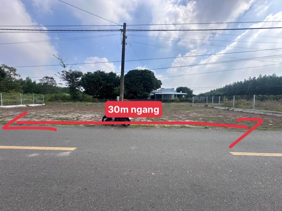 Đất nền Đất Đỏ, Bà Rịa - Vũng Tàu 274m² giá thỏa thuận - Tiềm năng đầu tư lớn!