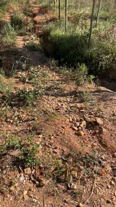 Đất Farm Ya Tăng, Sa Thầy 18,000m² giá 1.2 tỷ - Đầu tư sinh lời ngay!