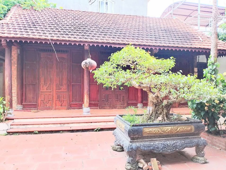 Nhà gỗ chính chủ phường Đông Hải, Thanh Hóa 250m² giá 10.2 tỷ - Gần BigC, tiện ích đầy đủ!