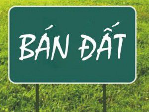 Đất mặt đường thôn Nậm Mu, xã Tân Quang, 255m² giá 1.5 tỷ - Cơ hội đầu tư vàng!