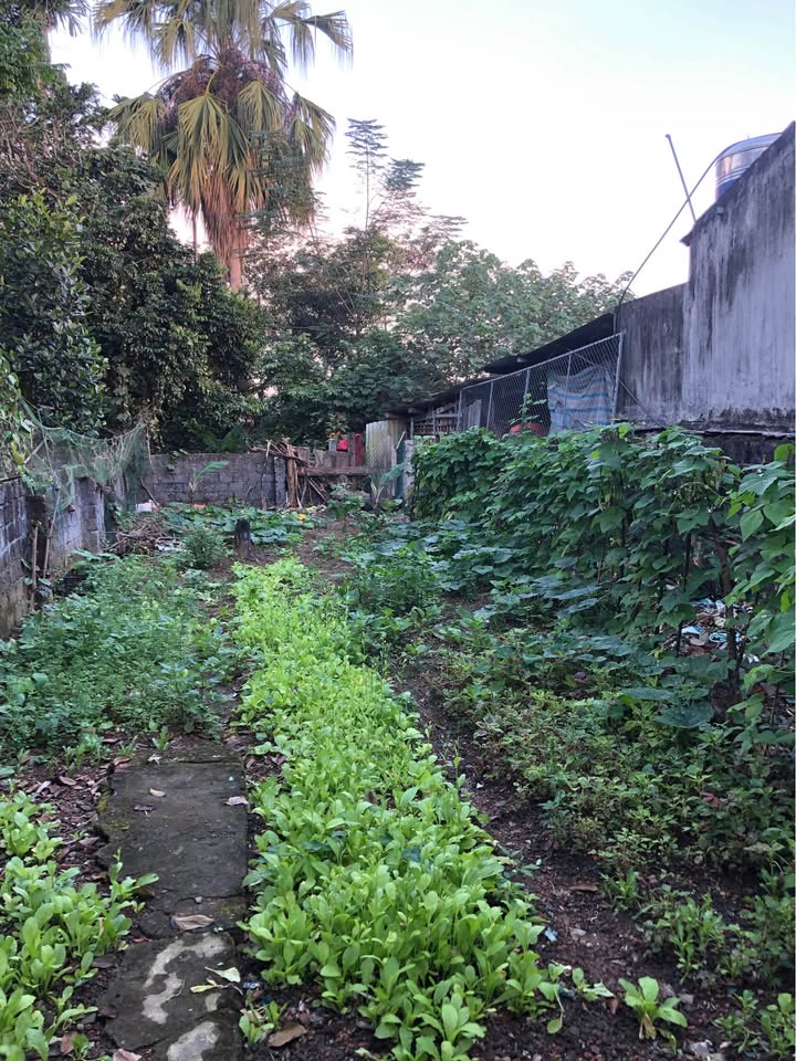 Đất nền Yên Sơn Tuyên Quang 162m² - Gần Đại học Tân Trào, ô tô vào tận nơi!