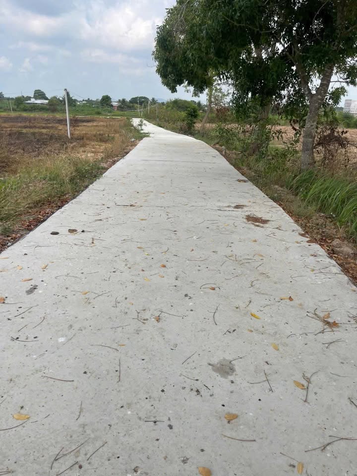 Đất nền chính chủ Hàm Liêm 720m² giá 750 triệu - Cơ hội đầu tư hấp dẫn!