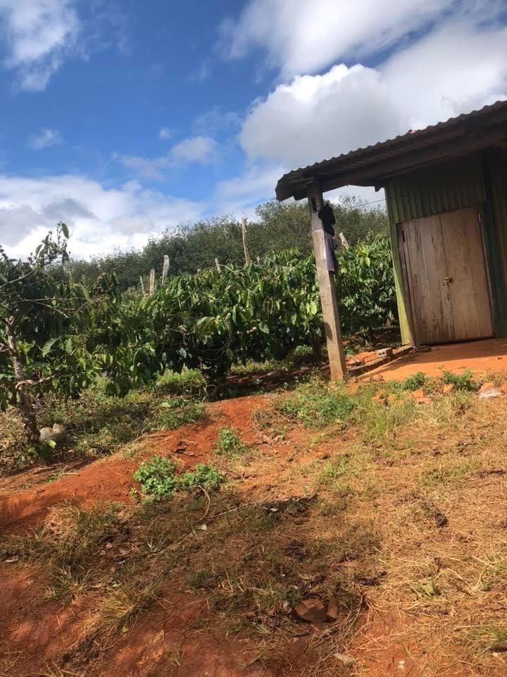 Đất Farm 5,4 sào tại Cư Mốt, Ea H'leo - Giá 1,2 tỷ, sẵn nhà chòi ở tạm!