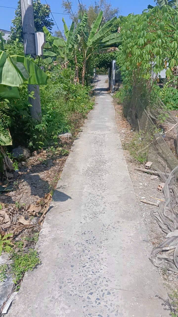 Đất nền Mỹ Phước Tây 132m² giá 450 triệu - Thích hợp đầu tư sinh lời!