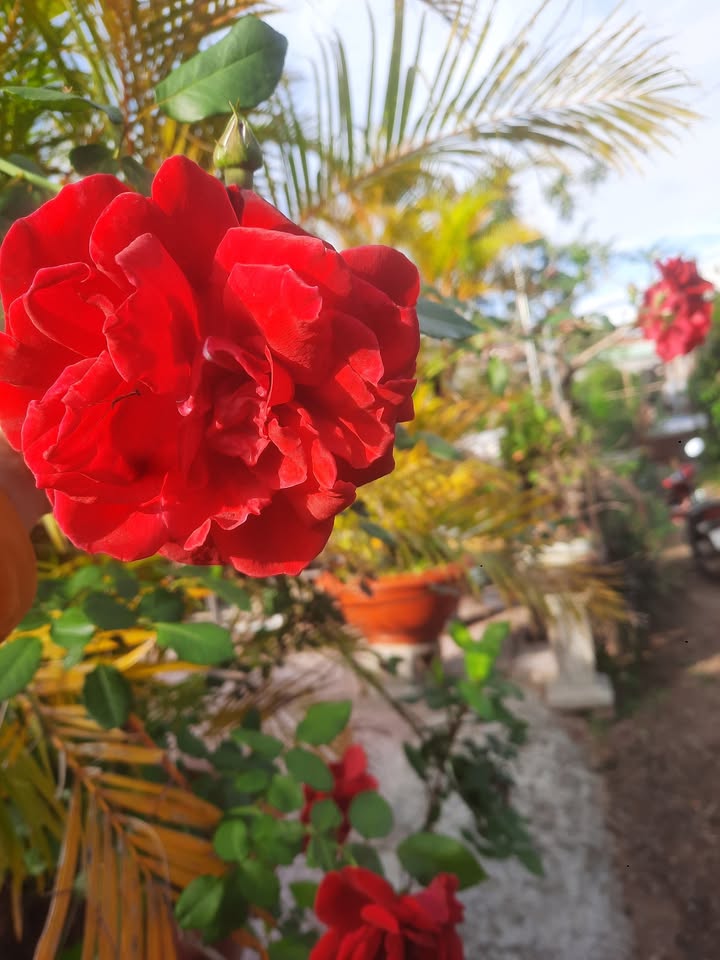 Đất nền Nhơn Hòa, 280m² giá chỉ 700 triệu - Cơ hội đầu tư tuyệt vời!