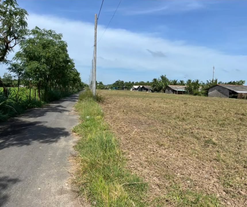 Đất thổ cư chính chủ Tân Hòa 175m² giá 440 triệu - Đầu tư lý tưởng!