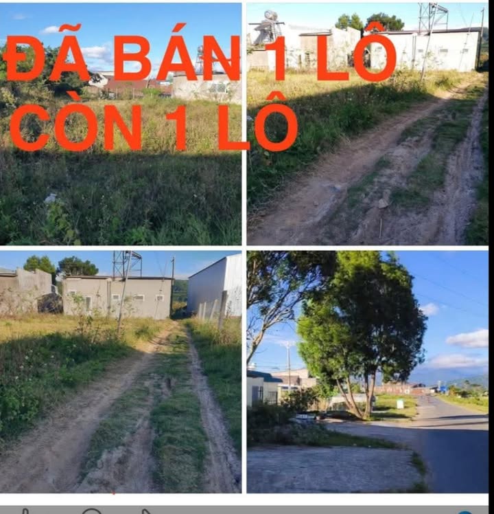 Đất nền Phú Hội Đức Trọng 200m² giá 850 triệu - Đầu tư sinh lời ngay!