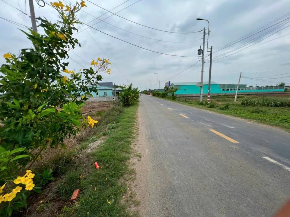 Đất nông nghiệp 1.295m² tại Tân Trụ, Long An - Giá chỉ 142.45 tỷ