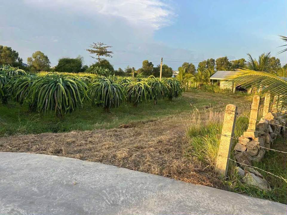 Đất nền 200m² Tân Nông Hàm Liêm giá chỉ 230 triệu - Sổ hồng riêng, mặt tiền đường bê tông!