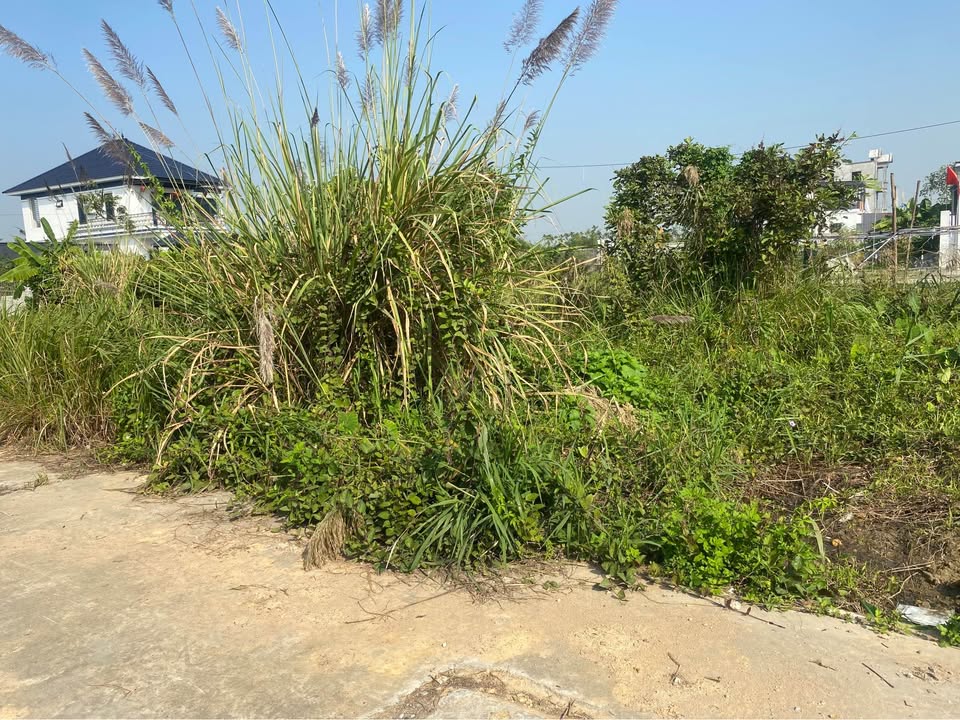 Đất nền phường An Dương 60m² giá thỏa thuận - Cơ hội đầu tư hấp dẫn!