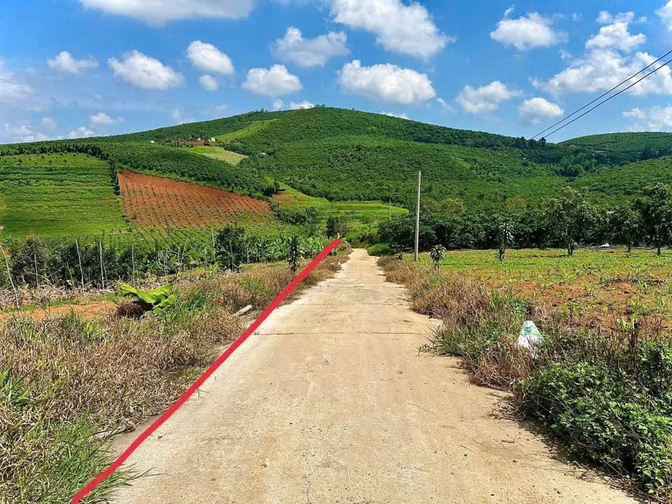 Đất Lộc Đức Bảo Lâm 500m² giá 630 triệu - Cơ hội đầu tư hiếm có!