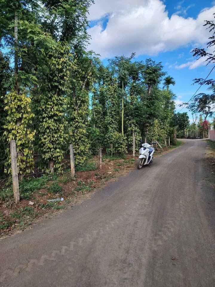 Đất thổ cư 2.2 sào tại phường Ea Kao - Giá chỉ 1.95 tỷ, cơ hội đầu tư tuyệt vời!