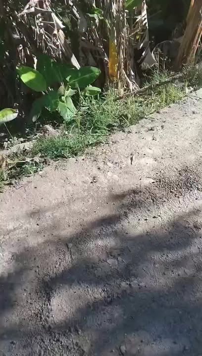 Đất nền mặt tiền đường bê tông xã Mỹ Quí Mới 276m² giá 450 triệu - Cơ hội đầu tư tuyệt vời!