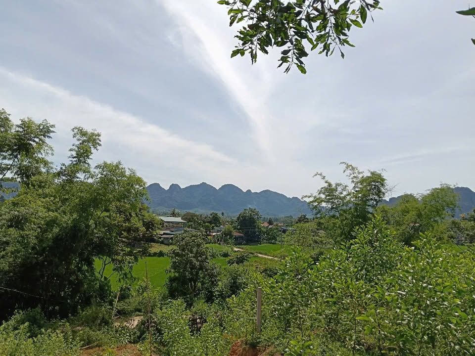 Đất nghỉ dưỡng Kim Bôi 2.300m² giá chỉ 2 tỷ - Không gian sống lý tưởng!