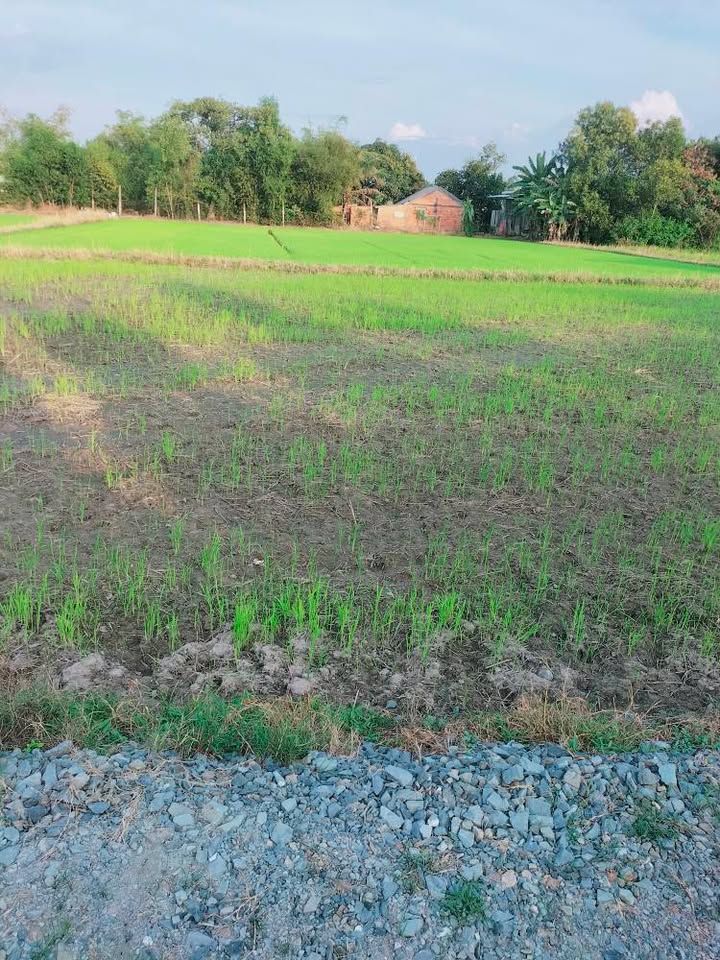 Đất thổ cư Hòa Khánh Tây, Đức Hòa 132m² giá 620 triệu - Sổ hồng riêng 2025!