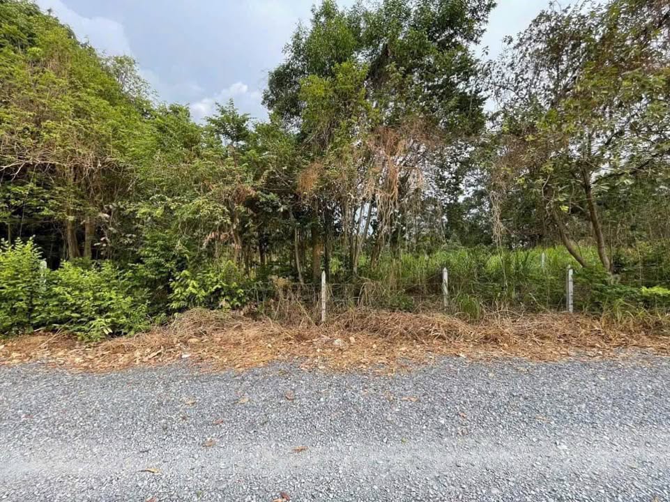 Đất nền 1000m² xã Phú Hòa Đông - Giá 5.5 tỷ, đầu tư sinh lời cao!