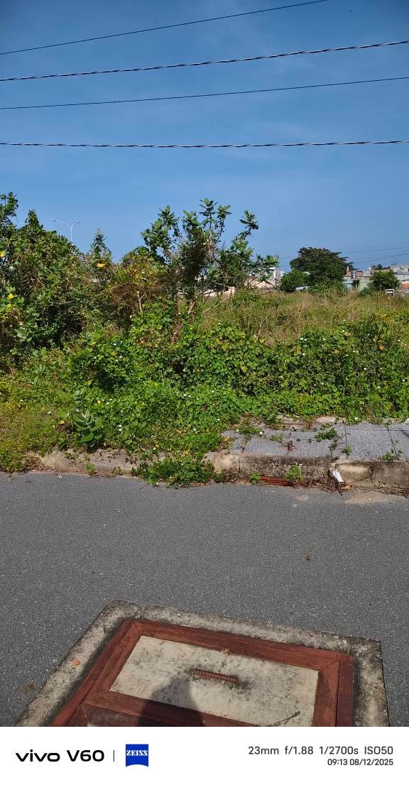 Đất thổ cư 300m² tại Đường nhựa số 11, Tam Phước - Giá chỉ 4.8 tỷ!