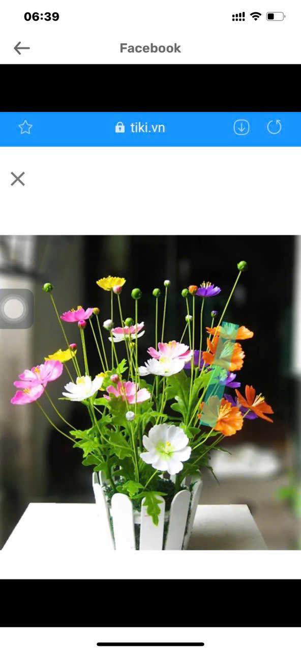 Căn hộ Chung cư Ổ Vịt Tân Tiến 100m² - Tặng kèm 5 phòng trọ!