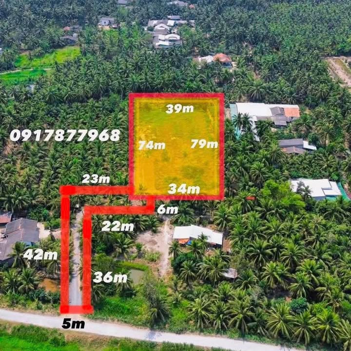 Đất nền Ấp An Thọ, Chợ Gạo 3440m² giá 1.33 tỷ - Cơ hội đầu tư sinh lời!