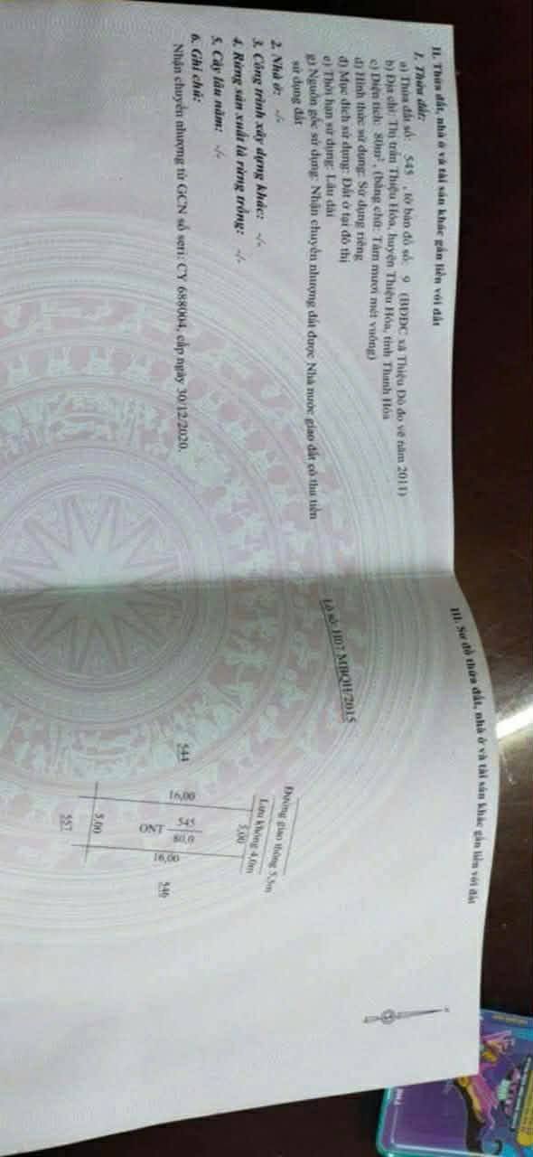 Đất nền Thiệu Trung, Thiệu Hóa 80m² giá 1.2 tỷ - Đầu tư sinh lời nhanh!