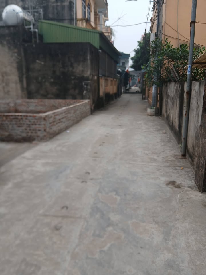 Đất nền 89m² tại Đặng Xá, Gia Lâm - Giá chỉ 6 tỷ - Đường ô tô vào tận nơi!