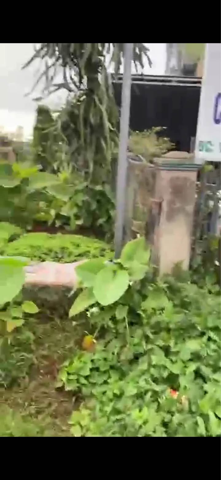 Đất nền Di Linh 200m² giá 1.1 tỷ - Mặt tiền đẹp, giao thông thuận tiện!