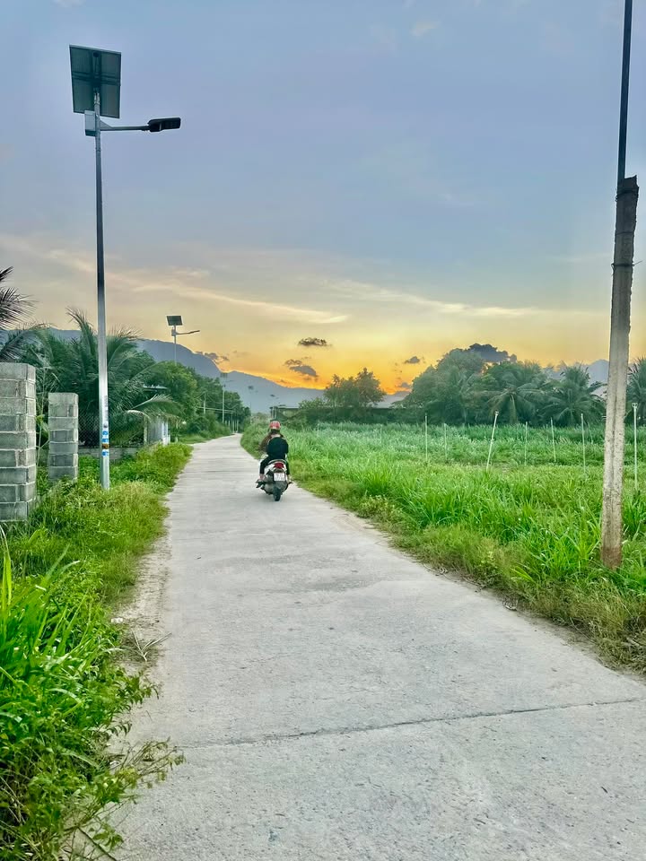 Lô đất đẹp Cam Ranh 169m² giá chỉ 950 triệu - Không khí trong lành, an ninh tốt!