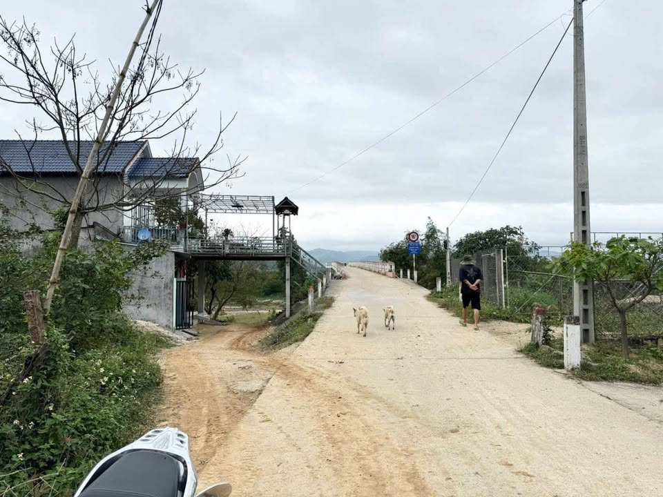 Đất nền thôn Mỹ Lợi, Phước Mỹ, Quy Nhơn 90m² giá 140 triệu - Cơ hội đầu tư hấp dẫn!