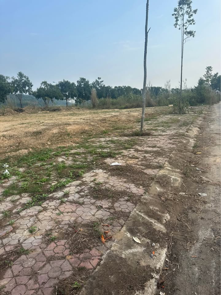 Đất nền Cam Đường Lào Cai 99m² giá 1,5 tỷ - Sổ đỏ chính chủ, giao dịch nhanh!