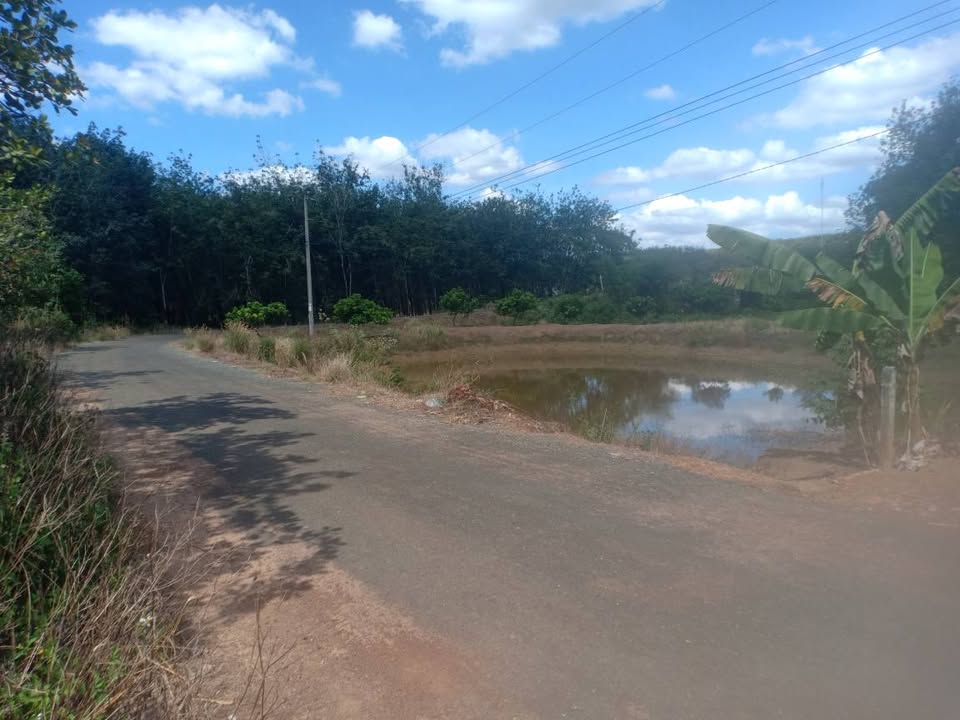 Đất vườn Tiến Thành 800m² giá 1.2 tỷ - Phù hợp cho nuôi cá và trồng rau!