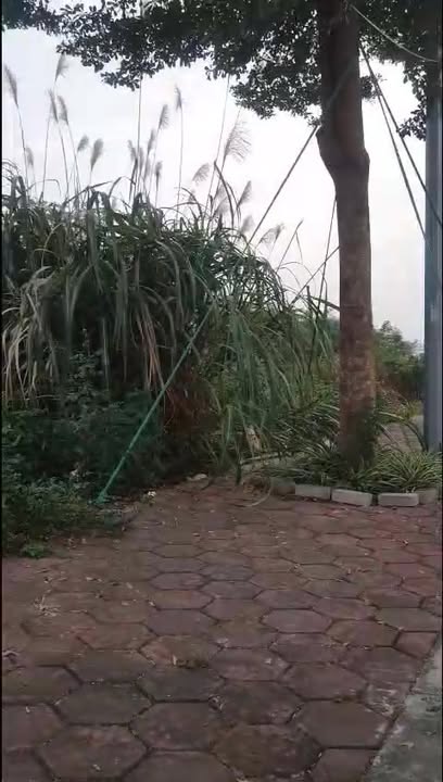 Cho thuê đất công nghiệp tại CCN Đại Thắng, Phú Xuyên, Hà Nội - Diện tích 7,37ha, giá thỏa thuận!