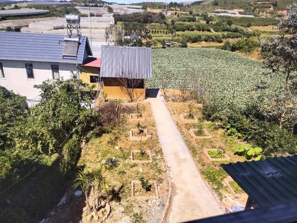 Nhà bán tại phường Lang Biang, Lạc Dương 500m² giá 11.8 tỷ - Cơ hội đầu tư tuyệt vời!