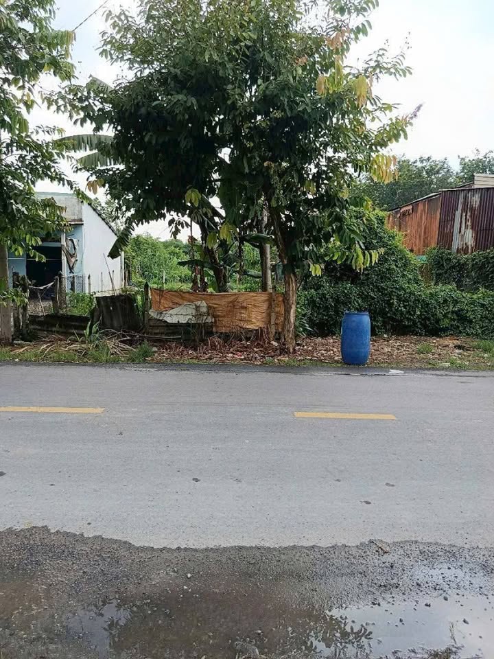 Đất thổ cư 4200m² tại Tân Thạnh Tây, Củ Chi - Giá chỉ 23 tỷ, phù hợp xây kho xưởng!