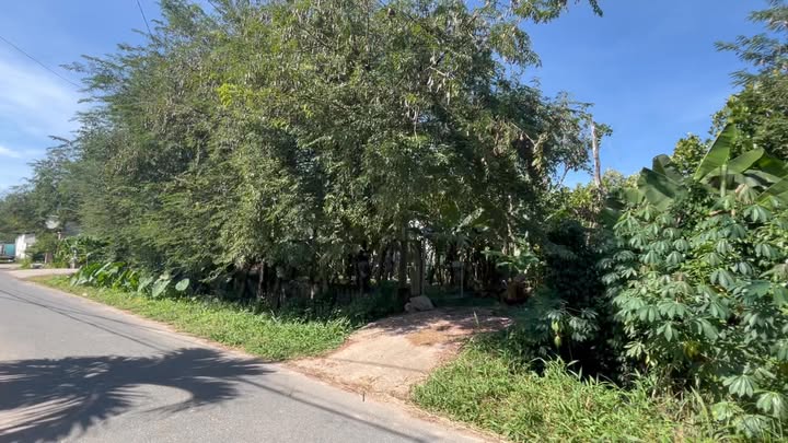 Đất vườn 1489m² mặt tiền đường Hố Bò, Phú Mỹ Hưng, Củ Chi - Giá 2 tỷ, thương lượng!