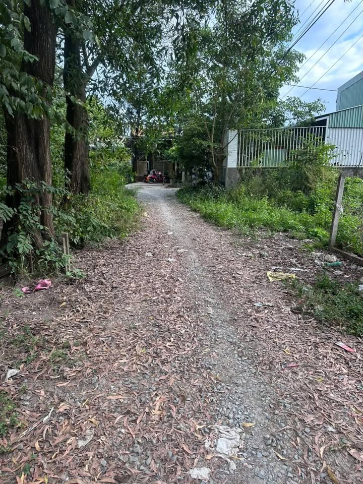 Nhà 1 trệt 1 lầu tại xã Tân Thạnh Đông, Củ Chi 140m² giá 2.5 tỷ - Đường ô tô tới nhà!