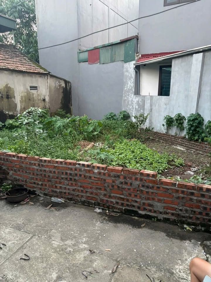 Đất Đại Áng, Thanh Trì 63m² giá 3 tỷ - Cơ hội đầu tư hấp dẫn!