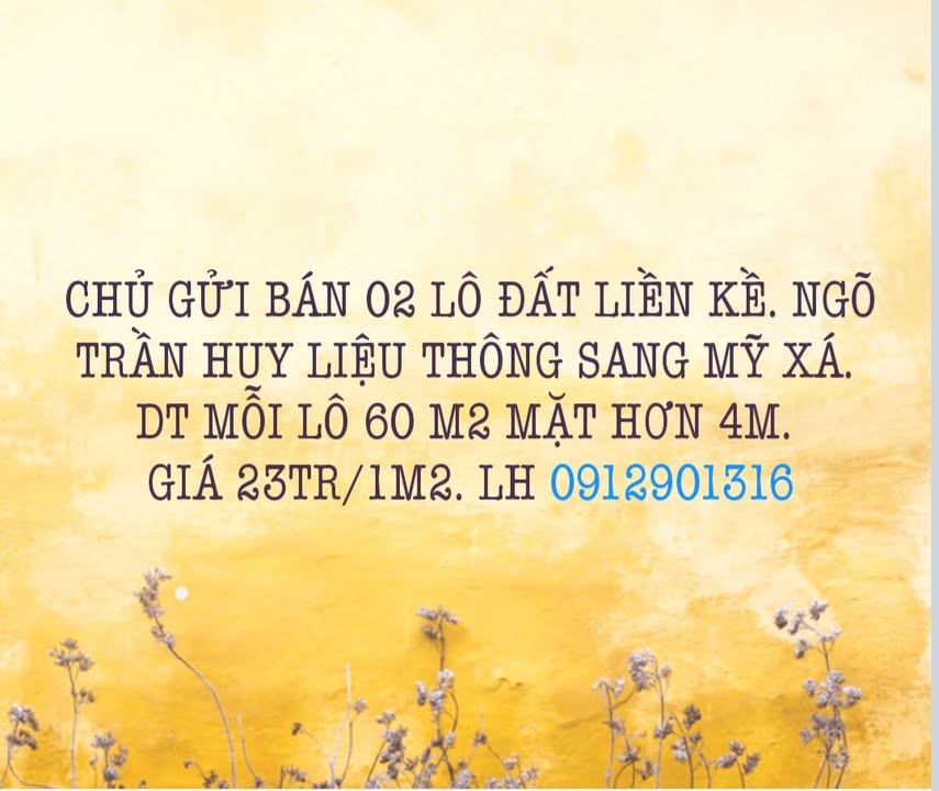 Đất nền 120m² tại phường Mỹ Xá, Nam Định - Giá chỉ 1.38 tỷ, cơ hội đầu tư tuyệt vời!