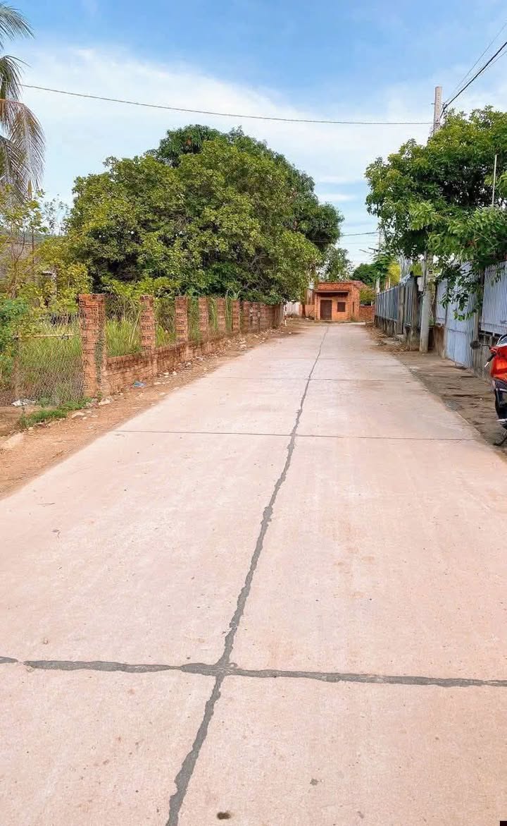 Đất thổ cư 315m² tại xã Sùng Nhơn, Đức Linh - Giá chỉ 500 triệu