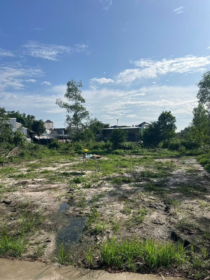 Đất Bưng Cơ Long Thành 1711.1m² giá 8 tỷ - Đầu tư sinh lời cao!