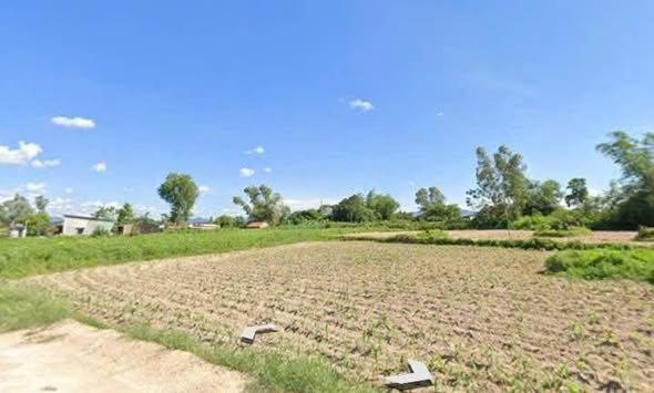 Đất vườn Phú Hưng, Bình Tân, Tây Sơn 1252m² - Giá thỏa thuận hấp dẫn!