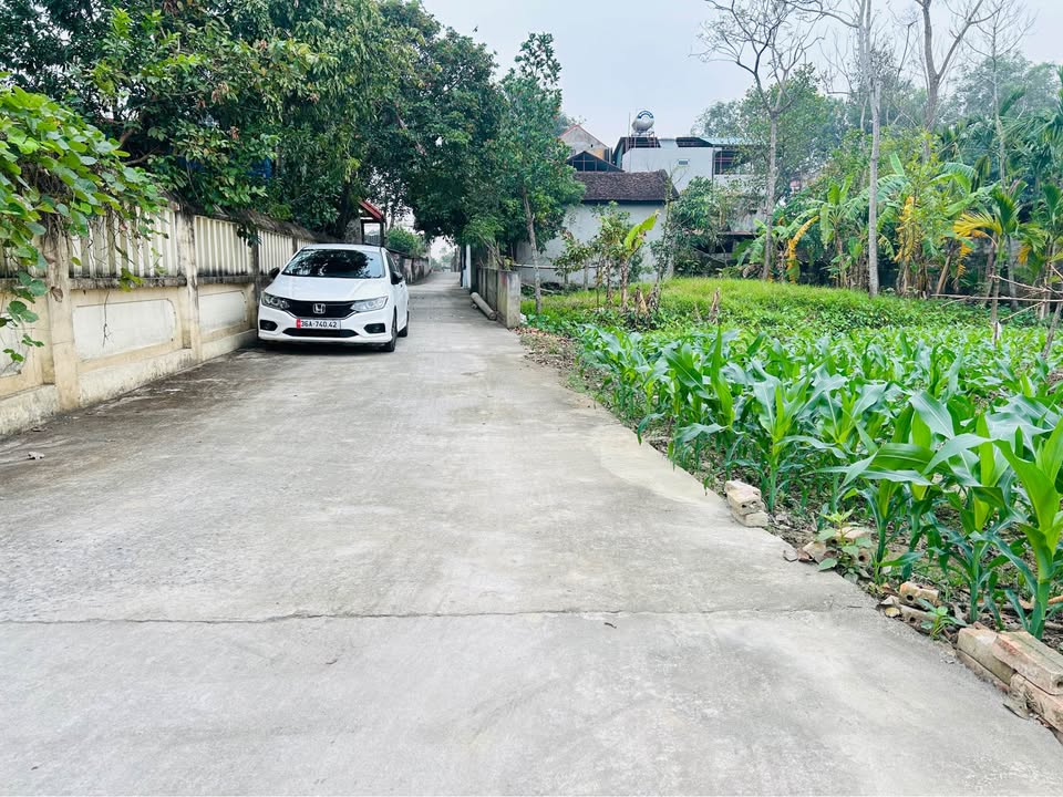 Đất thổ cư tại xã Xuân Lập, Thọ Xuân, 143m² giá chỉ 3xx triệu - Cơ hội đầu tư tuyệt vời!