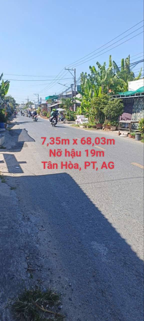 Đất mặt tiền Tỉnh lộ 954, xã Tân Hòa, An Giang - Diện tích 1.076,8m², giá 3 tỷ - Đầu tư sinh lời ngay!