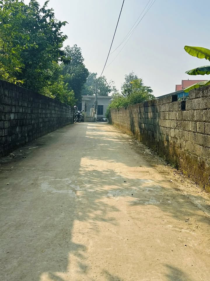 Đất thổ cư 100m² tại Hoàng Xá, Thạch Thất - Giá chỉ 1.8 tỷ, ô tô vào tận nơi!