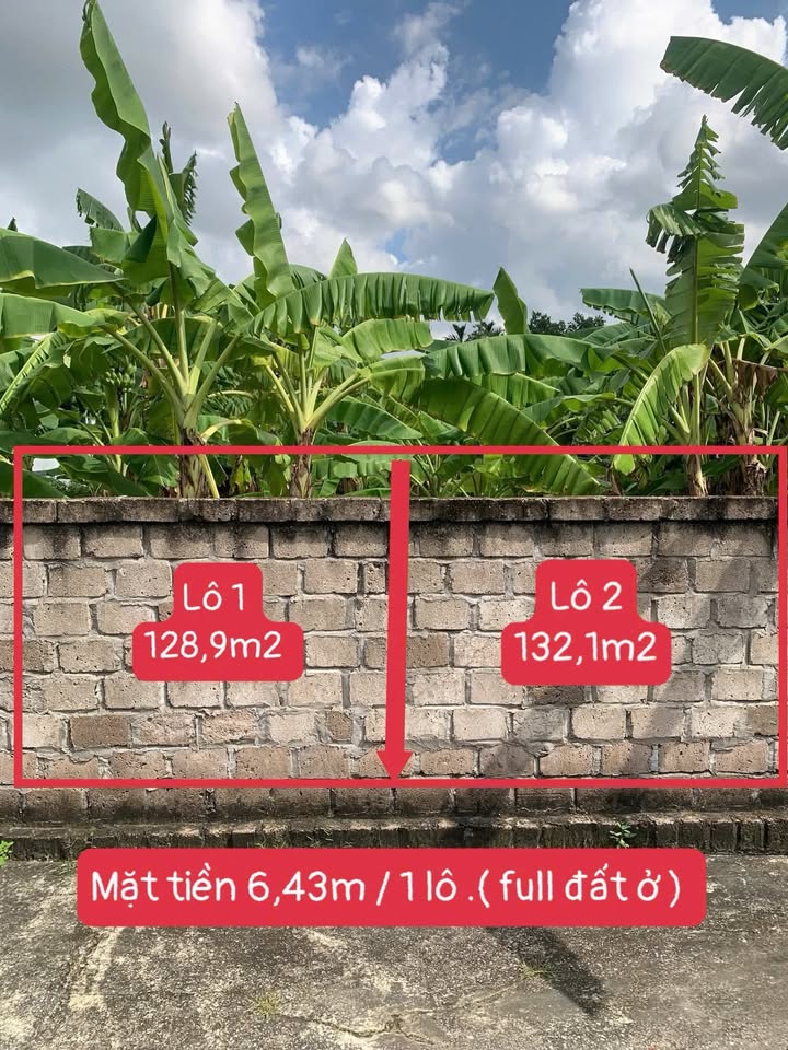 Đất nền Khu Vĩnh Phú - Mạo Khê 130m² giá chỉ 550 triệu - Đầu tư sinh lời ngay!