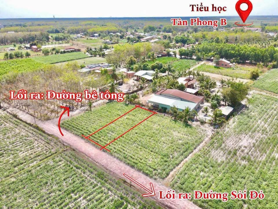 Đất nền Tân Phong Tân Biên 170m² giá chỉ 169 triệu - Sổ đỏ chính chủ sẵn sàng công chứng!