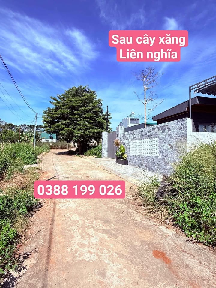 Đất thổ cư Liên Nghĩa, Đức Trọng 110m² giá 1.2 tỷ - Sổ đỏ chính chủ, xây dựng tự do!