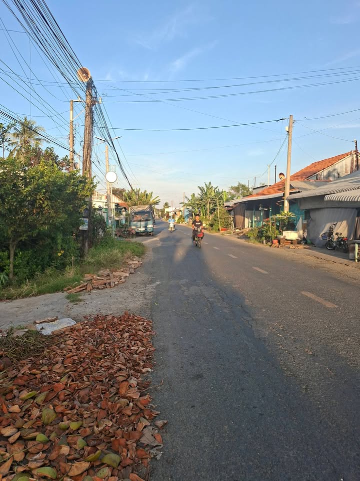 Đất thổ cư và cây lâu năm tại xã Phú Tân, An Giang 1076m² - Pháp lý rõ ràng, giá tốt!